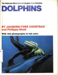 Dolphins