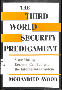 The Third World Security Predicament