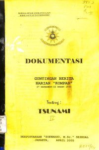 Dokumentasi Tentang Tsunami II