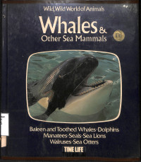 Whales & Other Sea Mammals