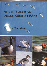 North American Ducks, Geese, & Swans