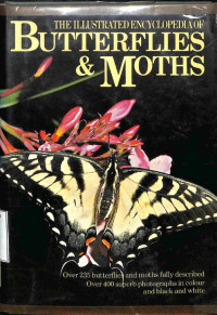 The Ilustrated ENcyclopedia Of Butterflies & Moths