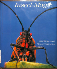 Insect Magic