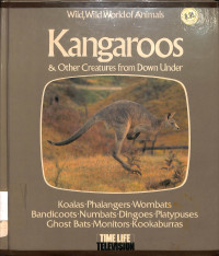 Kangaroos & Other Creatures from Down Under