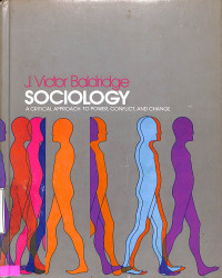 Sociology : A Critical Approach To Power, Conflict And Change