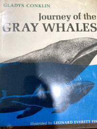 Jorney of the gray whales