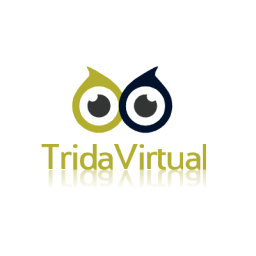 10. Logo - TridaVirtual